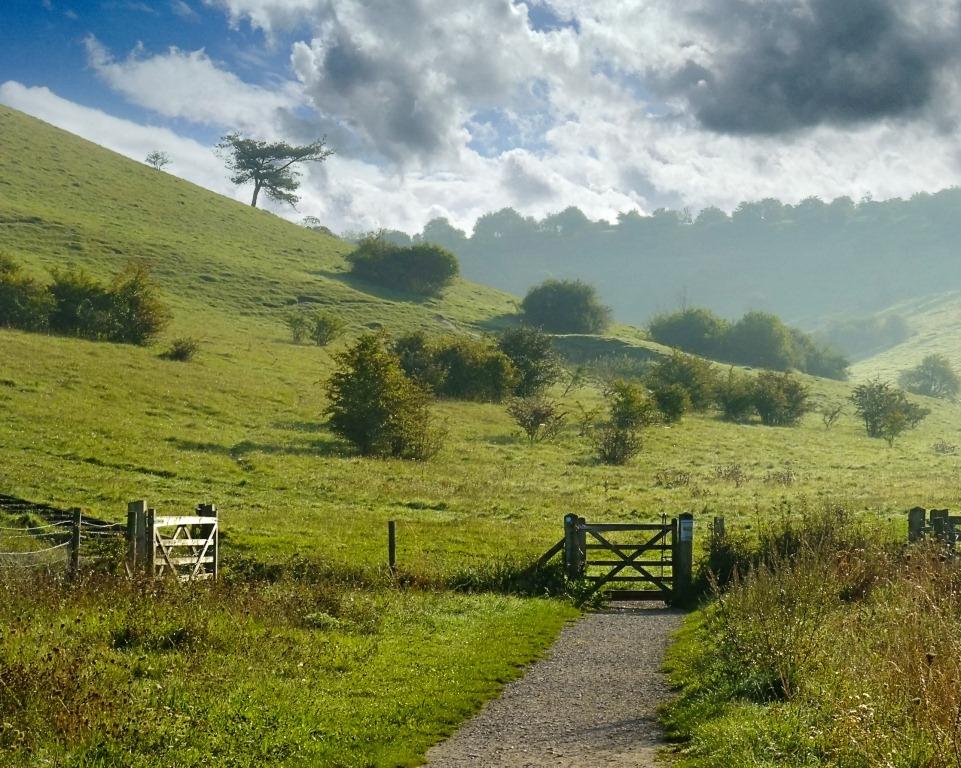 St Catherine's Hill at Winchester. Copyright: South Downs National Park Authority