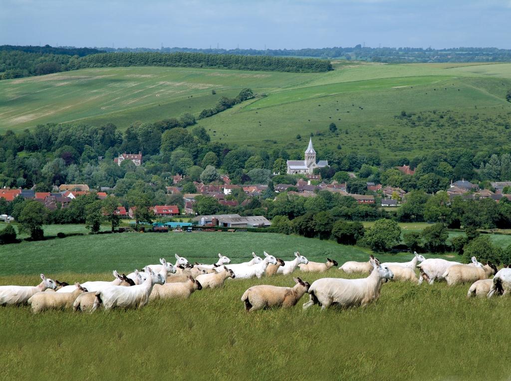 East Meon. Copyright: South Downs National Park Authority